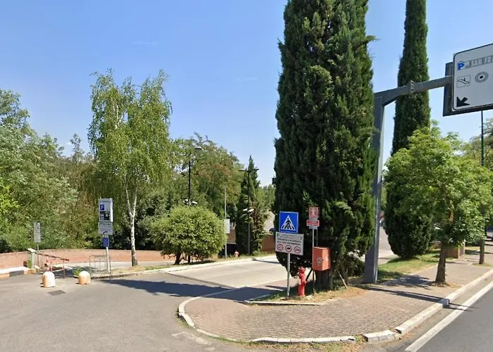 San Francesco Σιένα