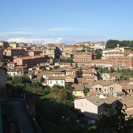 San Francesco سيينا