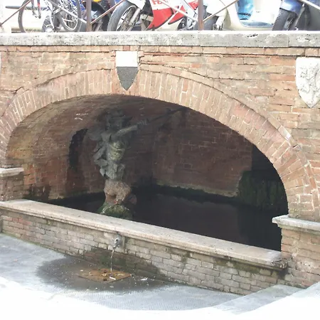 San Francesco سيينا