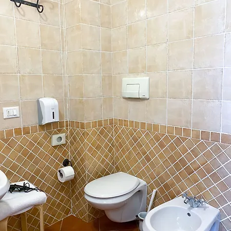 San Francesco سيينا